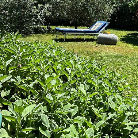 Golden Hill - Big Rooms With Kitchen And Garden Collina d'Oro Екстериор снимка