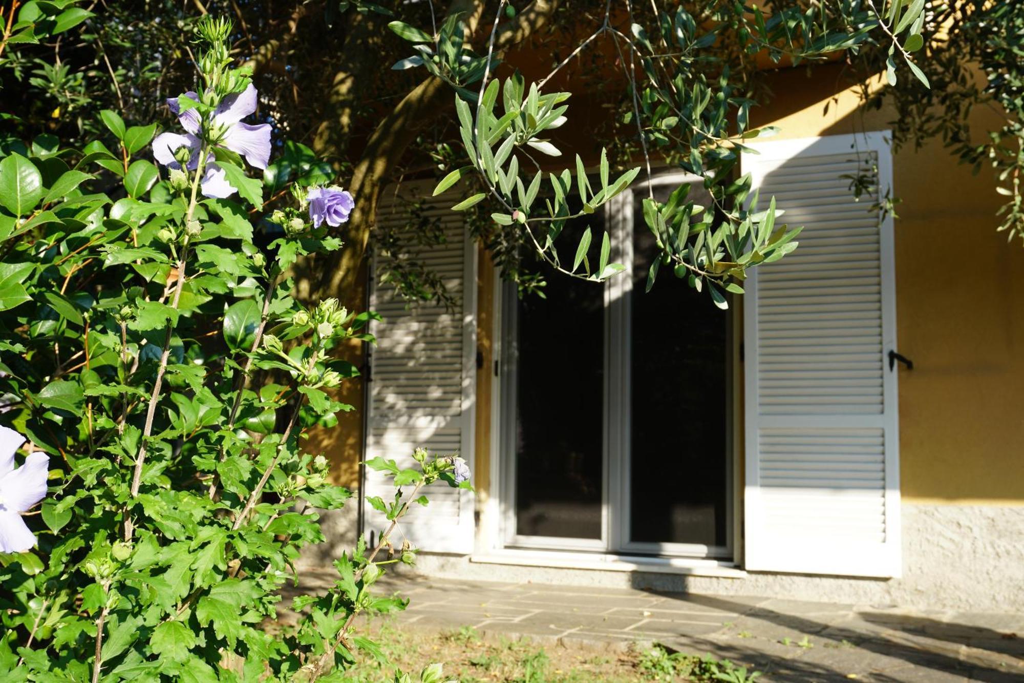 Golden Hill - Big Rooms With Kitchen And Garden Collina d'Oro Екстериор снимка
