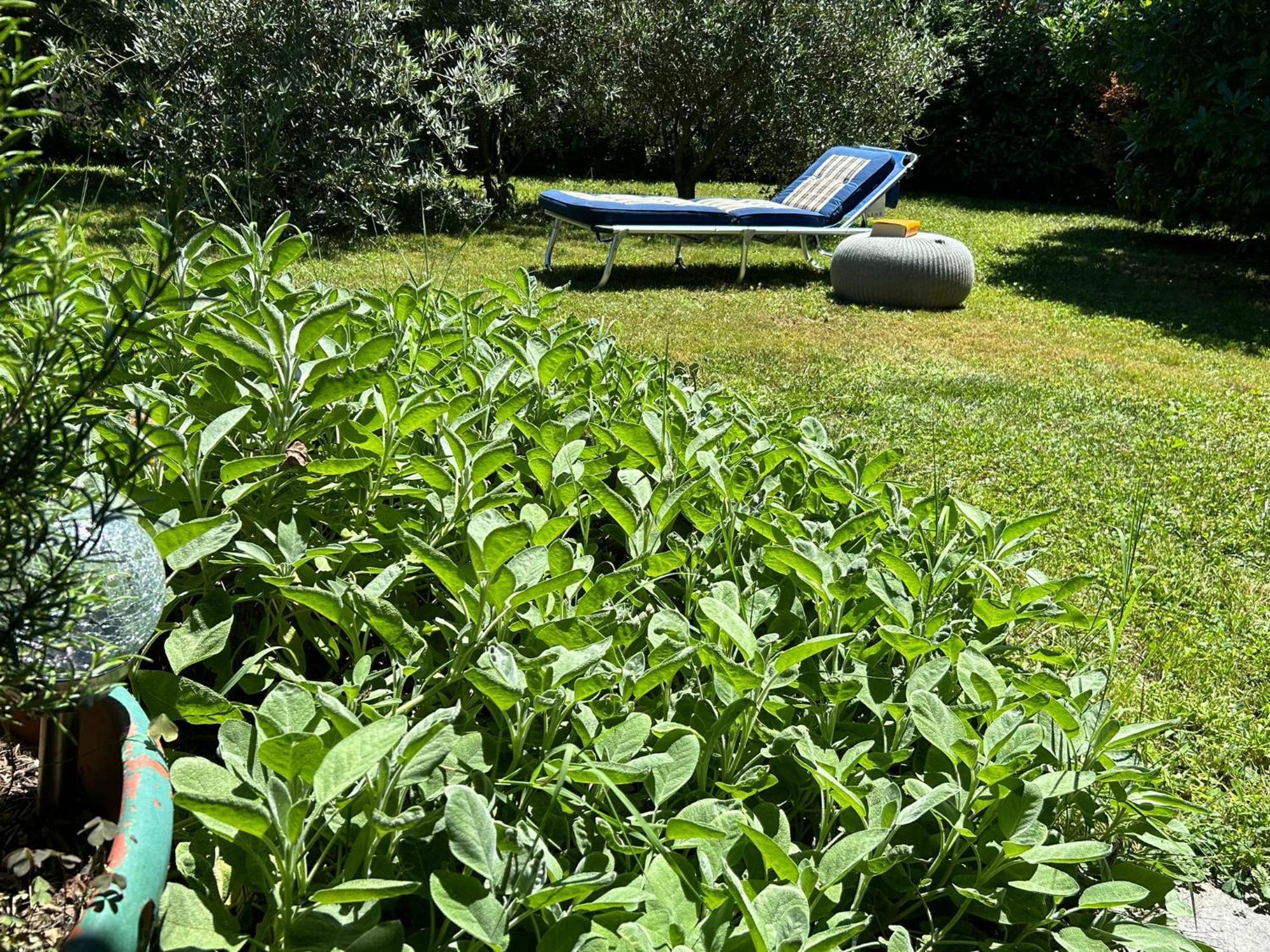 Golden Hill - Big Rooms With Kitchen And Garden Collina d'Oro Екстериор снимка